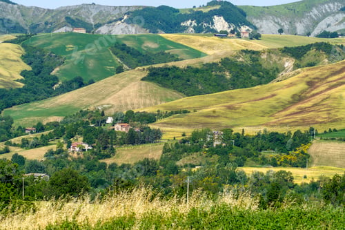 Preview: Rural landscape on the hills near Imola and Riolo Terme
