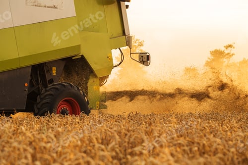 Preview: Harvester in wheat field