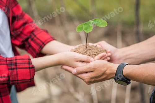 Preview: Men and women standing and holding saplings.