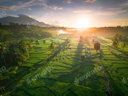 Preview: Beautiful morning view in Indonesia, panoramic landscape of rice fields with mountain ranges
