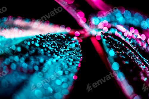 Preview: selective focus of background with wet schefflera leaf, pink color filter