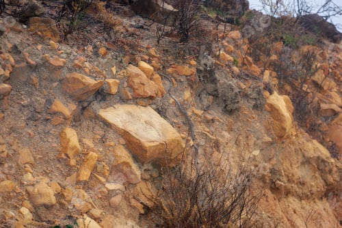 Preview: Hout Bay nature