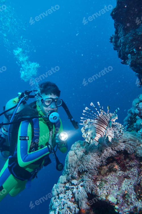 Preview: Red lion fish and scuba diver in Red Sea, Marsa Alam, Egypt