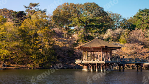 Preview: Ukimi-do hall above the pond in Nara park during sakura blossoms. Temple Japan