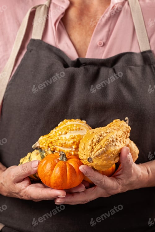 Preview: Woman's hands holding pumpkin. Autumn comfort, harvest, farming, Halloween party, Thanksgiving