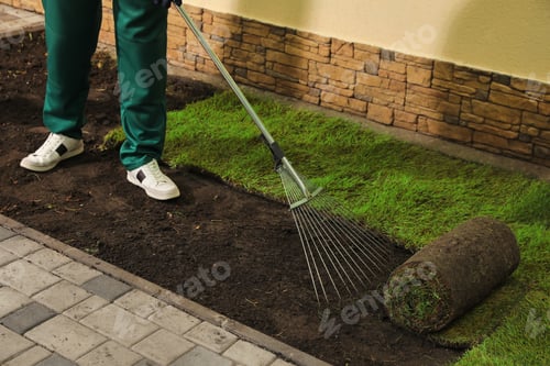 Preview: Worker leveling soil before laying grass sod at backyard, closeup