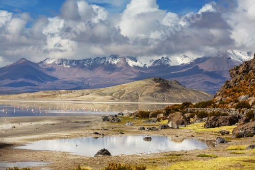 Preview: Northern Chile