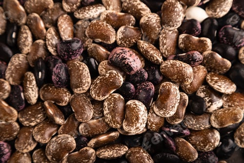 Preview: Kidney beans texture, top view, close up