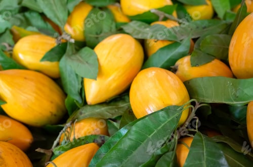 Preview: Yellow Tropical Fruit Of Canistel At Traditional Marketplace In Taiwan