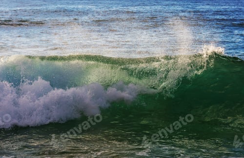 Preview: Wave