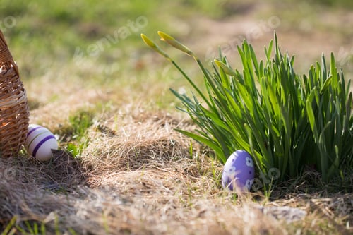 Preview: spring fun - finding eggs for easter outdoor in countryside. hunt in backyard. nobody