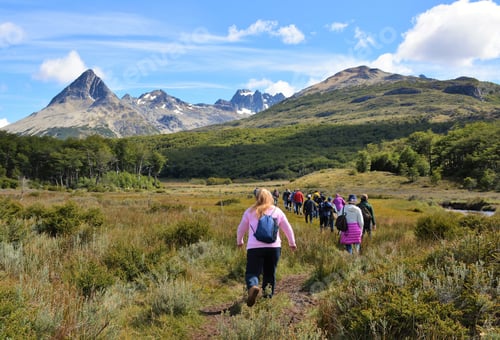 Preview: Group of tourists explore the unique peat bogs of Tierra Del Fuego National Park