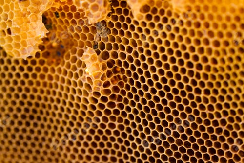 Preview: Beekeeping