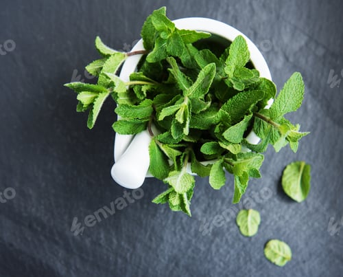 Preview: Fresh green mint