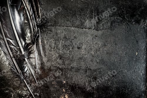 Preview: Halloween background with black raven feathers on dark grunge backdrop.