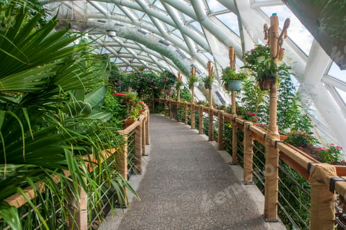 Preview: Konya Tropical Butterfly Garden, Turkey.