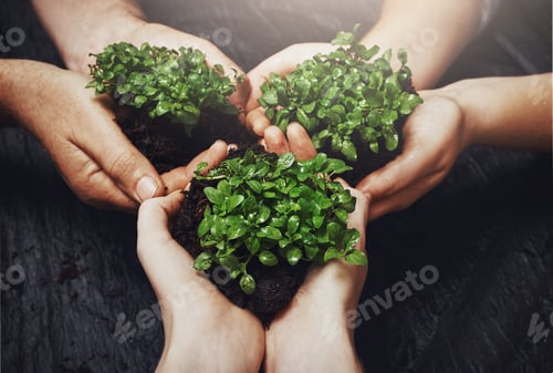 Preview: Theres always room to grow