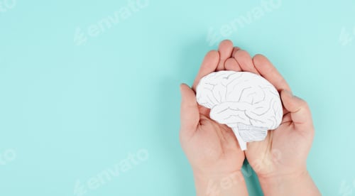 Preview: Person holding the brain sculpture in hands concept of Parkinson's disease, Alzheimer's awareness
