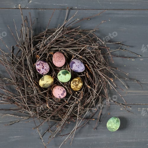 Preview: Easter eggs in the nest