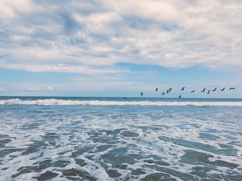 Preview: Seascape with Birds Flying Over Gentle Ocean Waves