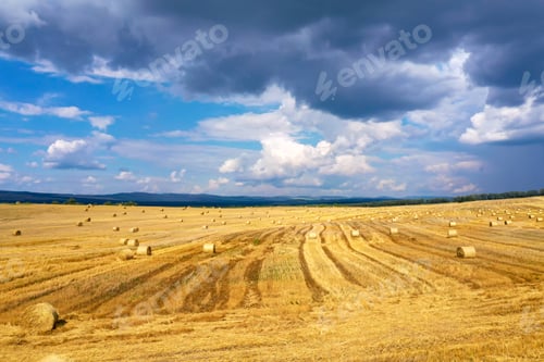 Preview: Aerial view of crop fields. Aerial flight over fields with straw bales in autumn during harvest