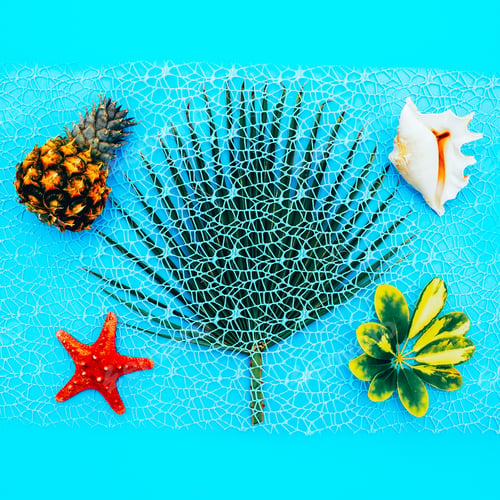 Preview: Tropical Sea set. Pineapples, shells, palm. Minimal