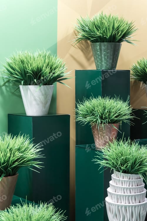 Preview: Indoor house plants on the podium in the interior in green tones. Home decor on a pedestal.