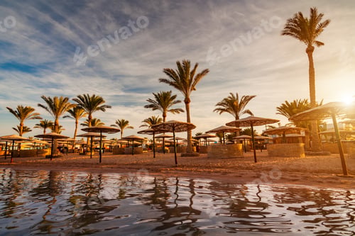 Preview: Beautiful romantic sunset over a sandy beach and palm trees. Egypt. Hurghada