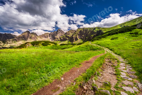 Preview: Stony trail in the Tatras Mountains in Poland