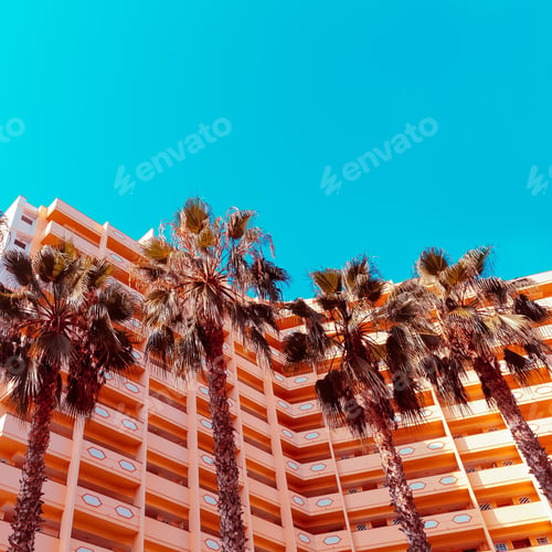 Preview: Palms background and hotel. Minimal. Stylish tropical urban