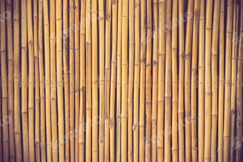 Preview: bamboo fence background vintage color