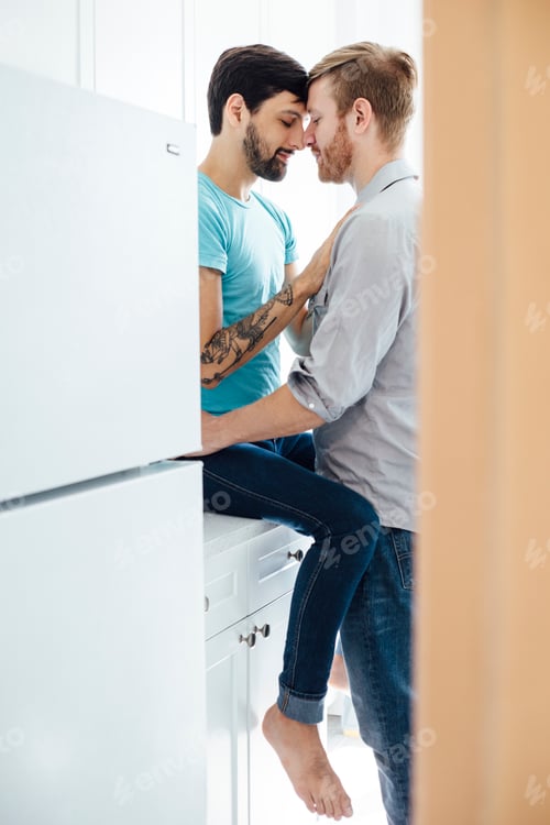 Preview: Male couple in kitchen, face to face, embracing