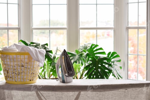 Preview: Ironing board with an iron and laundry basket in front of a large window with houseplant