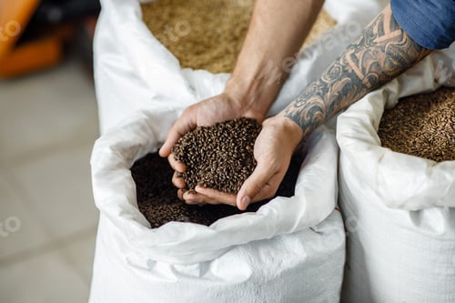 Preview: Ingredients for making craft beer in factory, great harvest at storage for bravery