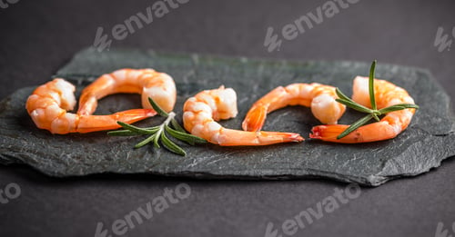Preview: Seafood concept