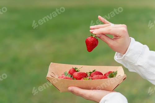 Preview: Close-up of hand holding strawberries in eco plate on green background. Summer fruit