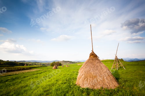 Preview: Green field with heaps of hay in village