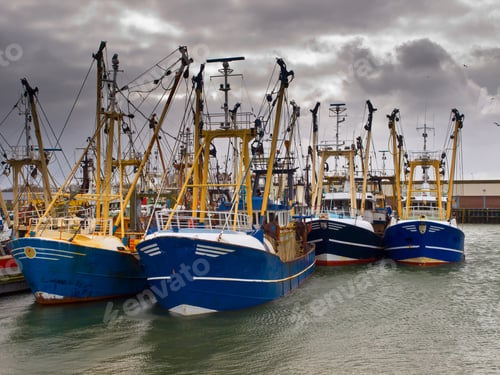 Preview: modern fishing fleet