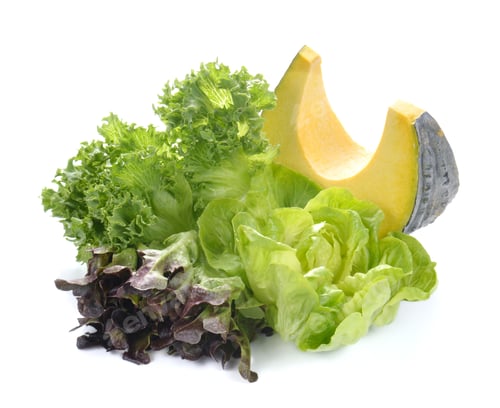 Preview: Fresh lettuce salad,Fresh vegetable salad,Pumpkin on white backg