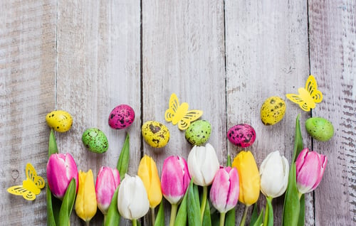 Preview: Tulips, paper butterfly, colorful quail eggs on wooden background for Easter. Spring Holiday Concept