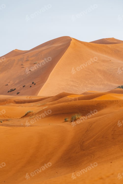 Preview: Sand texture in Morocco Sahara Merzouga Desert after a rainy day