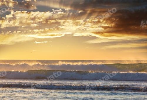 Preview: Wave