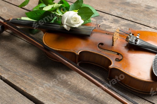 Preview: Beautiful violin