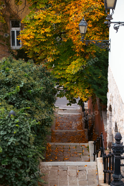 Preview: Autumn in Budapest, Hungary.