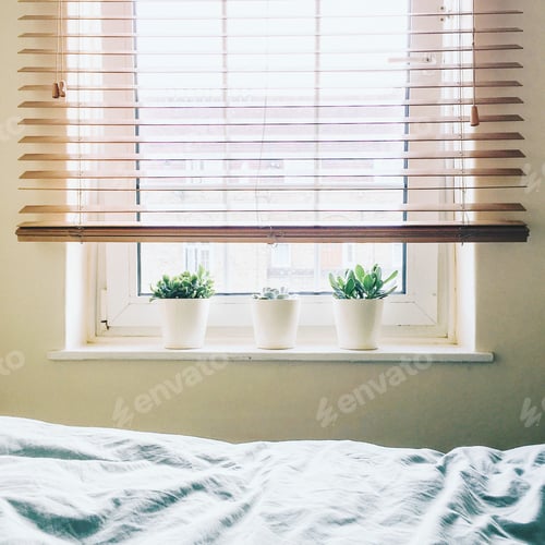 Preview: Plants by a Window with Bed in Foreground