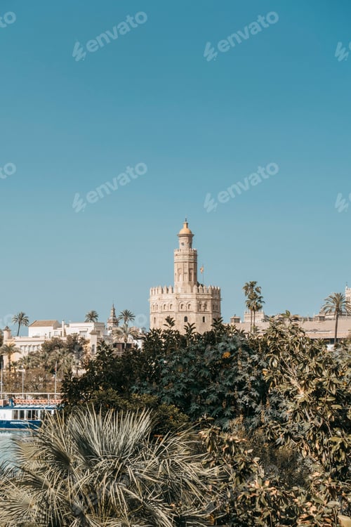 Preview: view of the upper part of the Torre del Oro in Seville, which overlooks the vegetation.