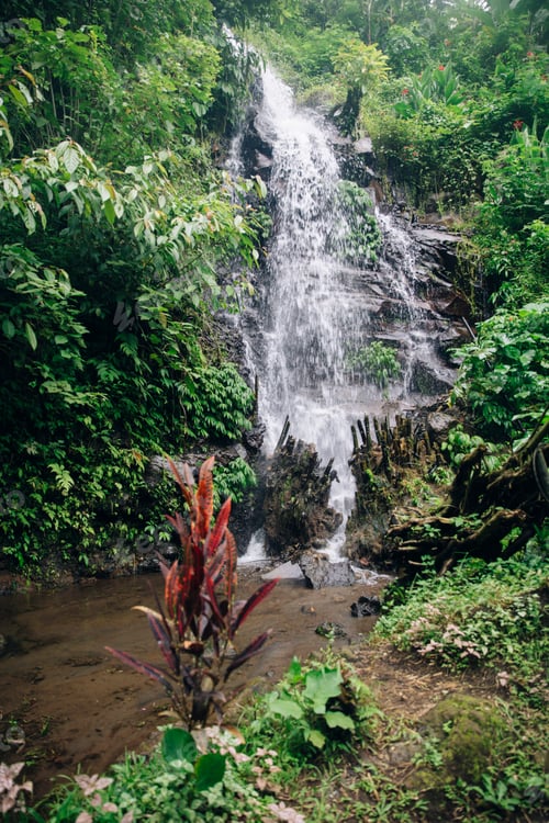 Preview: Gitgit waterfall at Bali, Indonesia