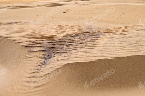 Preview: Waves of golden sand create intricate patterns in a sunlit desert landscape