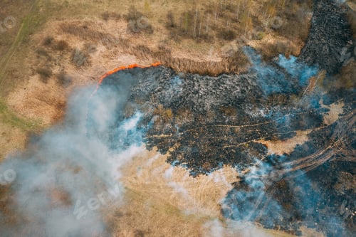 Preview: Aerial View. Dry Grass Burns During Drought And Hot Weather. Bush Fire And Smoke In Meadow Field