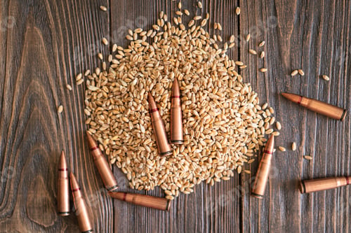 Preview: Scattered Wheat Grains and Bullet Shells on a Wooden Surface